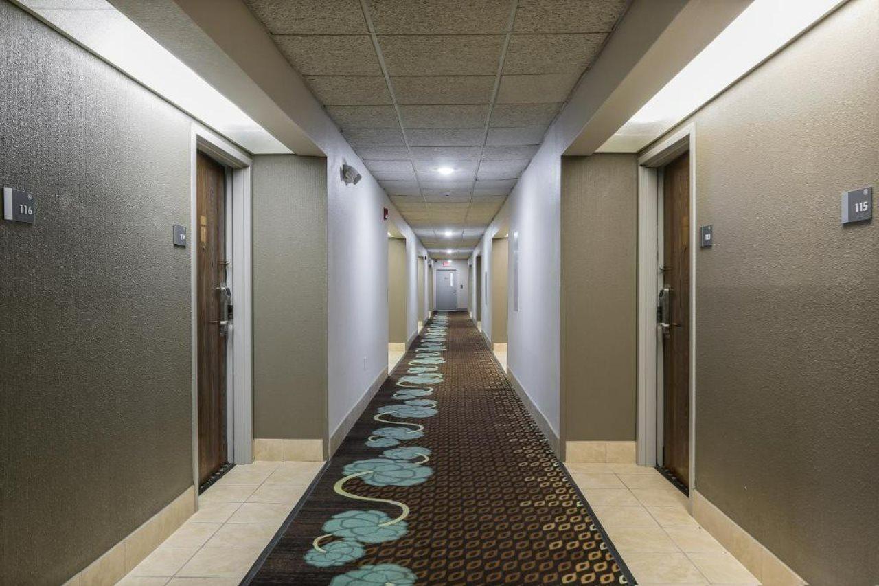 Bliss Point Inn & Suites New Buffalo Dış mekan fotoğraf